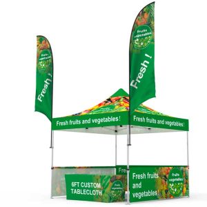 10ft Square Canopy Tent - Deluxe Package
