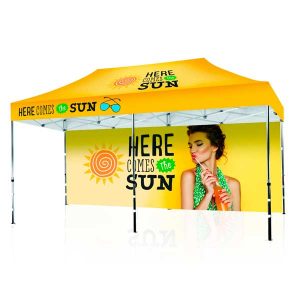 10ft x 20ft Canopy Tent - Silver Package